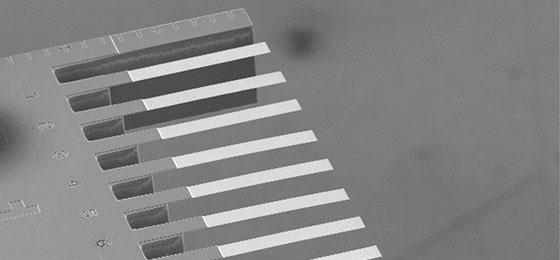 Acht hintereinander angeordnete nanomechanische Federbalken, die mit verschiedenen Biomarkern beschichtet sind (Rasterelektronen