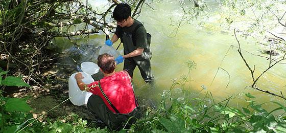 Sample collection downstream from a waste water treatment plant