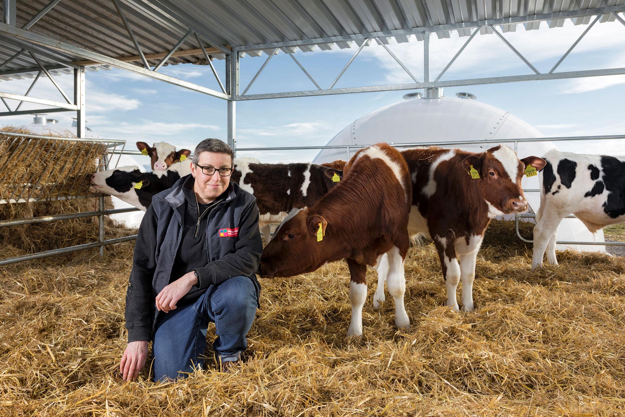 nfp72-kaelbermast-es-geht-mit-weniger-antibiotika.jpg
